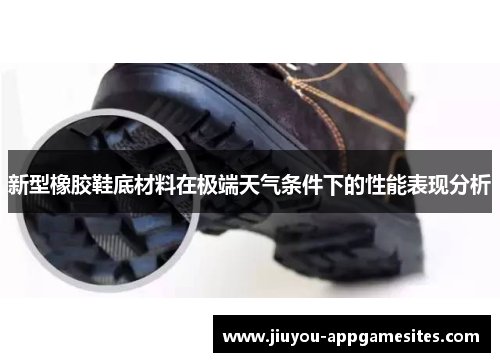 新型橡胶鞋底材料在极端天气条件下的性能表现分析